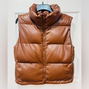Aritzia Vegan leather down puffer vest